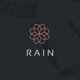 bahrain-based cryptocurrency exchange rain raises $110 million