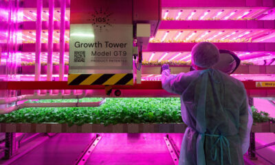 dubai's food tech valley and refarm plan hi-tech gigafarm