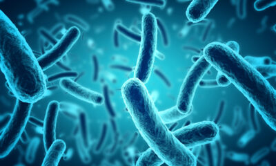 scientists discover bacteria that makes contaminated water safe to drink