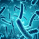 scientists discover bacteria that makes contaminated water safe to drink